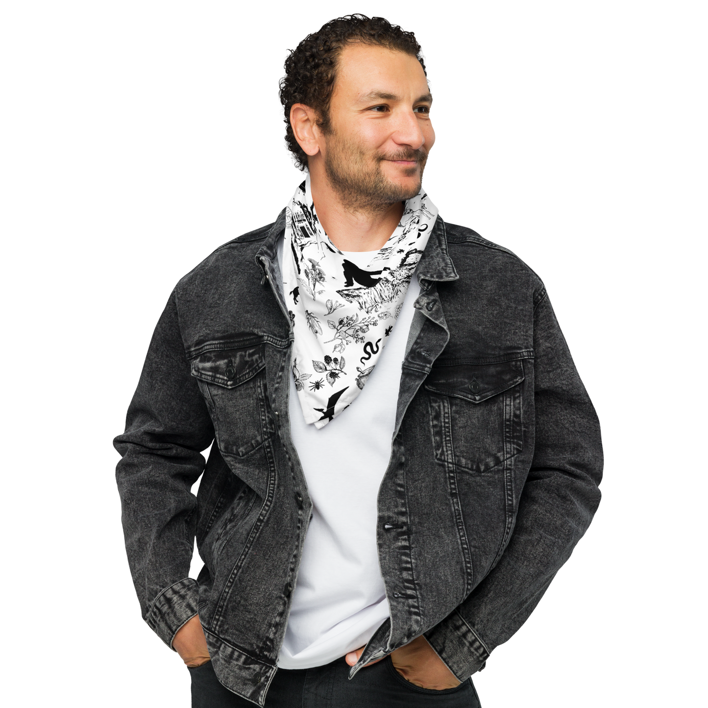 Toile Tales of the South Bandana